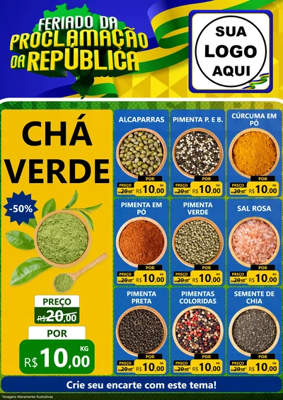 Modelo de Encarte para Encarte A4 Vertical com o tema Feriado da Proclamação da República para Produtos Naturais