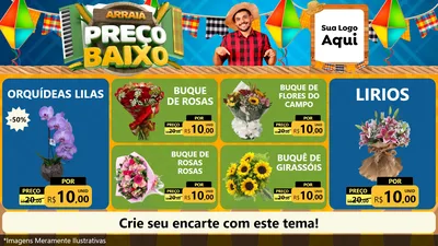 Modelo de TV para TV Horizontal com o tema Arraiá de Preço Baixo - Junina para Floricultura e jardim