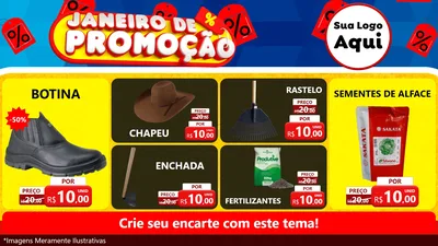 Modelo de TV para TV Horizontal com o tema Janeiro de Promoção para Agropecuária