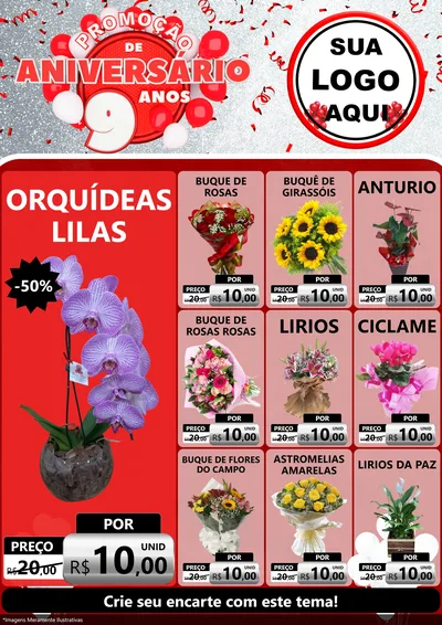 Modelo de Encarte para Encarte A4 Vertical com o tema Promoção de Aniversário - 9 Anos para Floricultura e jardim