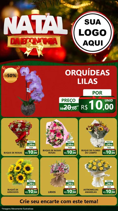Modelo de Rede Social para Stories com o tema Natal da Economia para Floricultura e jardim