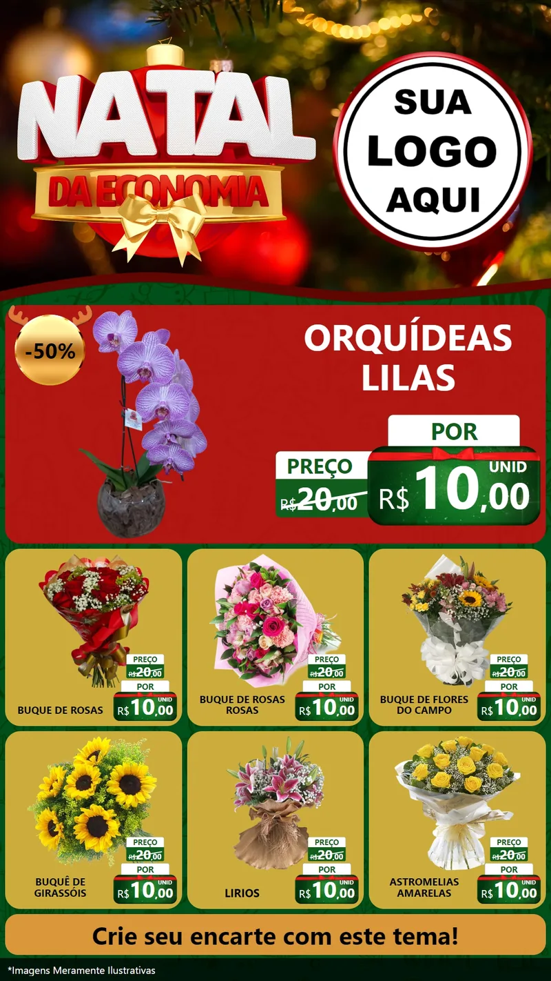 Modelo de Rede Social para Stories com o tema Natal da Economia para Floricultura e jardim