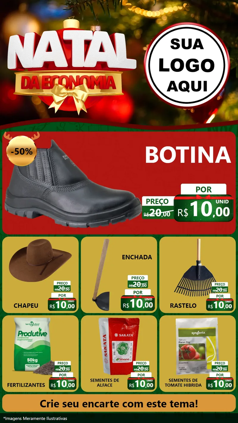 Modelo de Rede Social para Stories com o tema Natal da Economia para Agropecuária