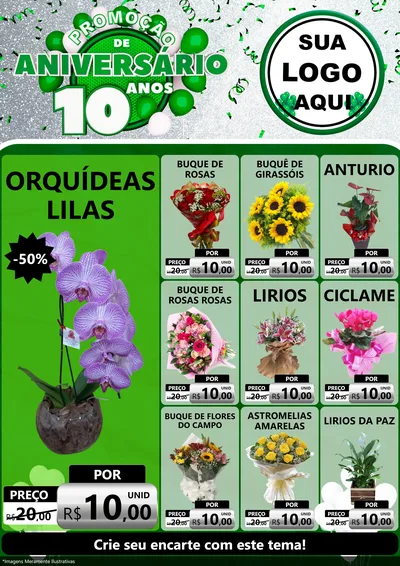 Modelo de Encarte para Encarte A4 Vertical com o tema Promoção de Aniversário - 10 Anos para Floricultura e jardim