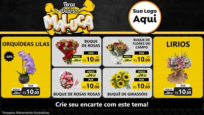 Modelo de TV para TV Horizontal com o tema Terça e Quarta Maluca para Floricultura e jardim