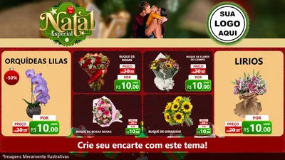 Modelo de TV para TV Horizontal com o tema Natal Especial para Floricultura e jardim