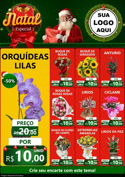 Modelo de Encarte para Encarte A4 Vertical com o tema Natal Especial para Floricultura e jardim
