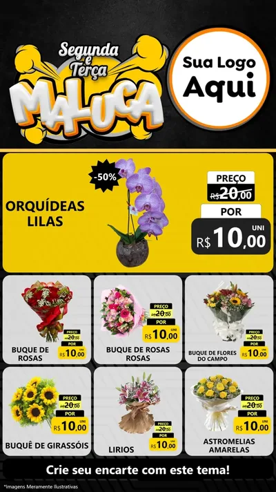 Modelo de Rede Social para Stories com o tema Segunda e Terça Maluca para Floricultura e jardim