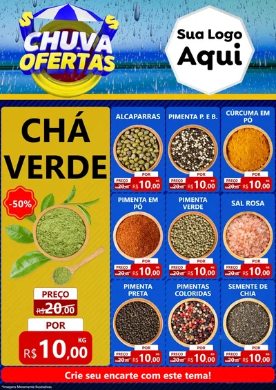Modelo de Encarte para Encarte A4 Vertical com o tema Chuva de Ofertas para Produtos Naturais