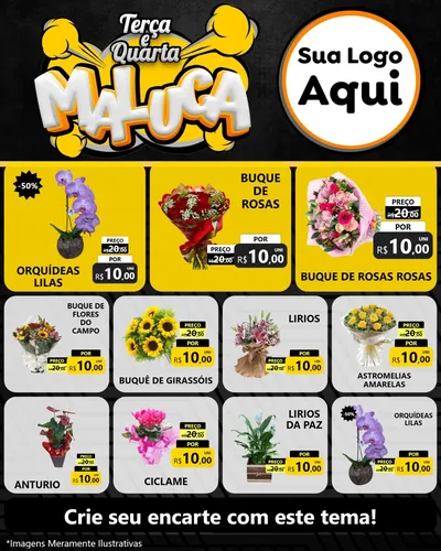 Modelo de Rede Social para Feed Instagram com o tema Terça e Quarta Maluca para Floricultura e jardim