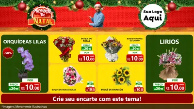Modelo de TV para TV Horizontal com o tema Promoção de Natal para Floricultura e jardim