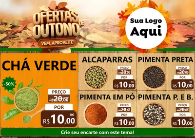 Modelo de Encarte para Encarte A4 Horizontal com o tema Ofertas de Outono - Vem, Aproveite! para Produtos Naturais