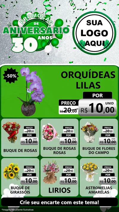 Modelo de Rede Social para Stories com o tema Promoção de Aniversário - 30 Anos para Floricultura e jardim