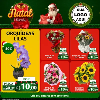 Modelo de Rede Social para Feed Facebook com o tema Natal Especial para Floricultura e jardim