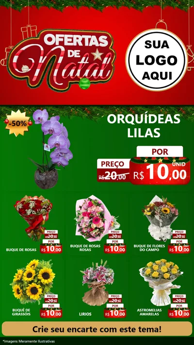 Modelo de Rede Social para Stories com o tema Ofertas de Natal para Floricultura e jardim