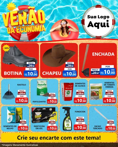 Modelo de Rede Social para Feed Instagram com o tema Verão da Economia para Agropecuária