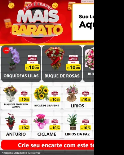 Modelo de Rede Social para Feed Instagram com o tema Mais Barato para Floricultura e jardim