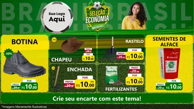 Modelo de TV para TV Horizontal com o tema Seleção de Economia - Copa para Agropecuária