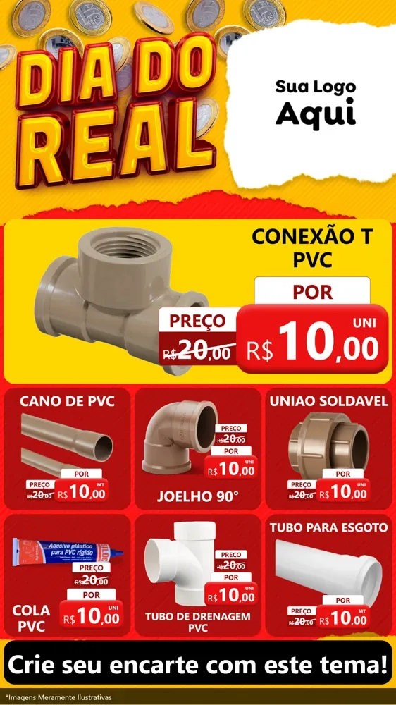 Modelo de Rede Social para Stories com o tema Dia Do Real para Tubos e conexões