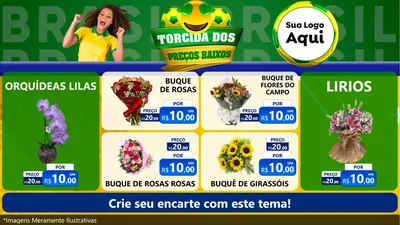 Modelo de TV para TV Horizontal com o tema Torcida dos Preços Baixos - Copa para Floricultura e jardim