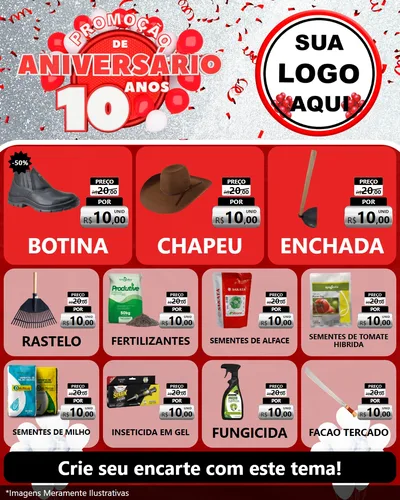 Modelo de Rede Social para Feed Instagram com o tema Promoção de Aniversário - 10 Anos para Agropecuária