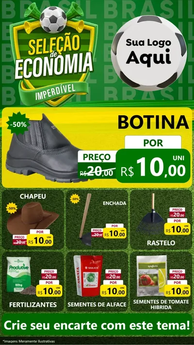 Modelo de Rede Social para Stories com o tema Seleção de Economia - Copa para Agropecuária