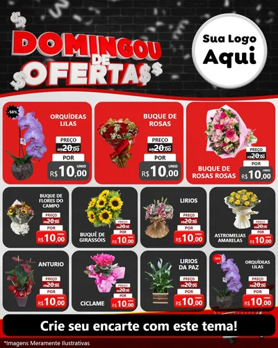 Modelo de Rede Social para Feed Instagram com o tema Domingou de Ofertas para Floricultura e jardim