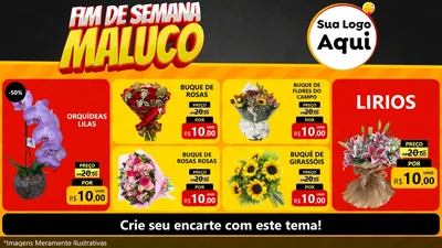 Modelo de TV para TV Horizontal com o tema Final de Semana Maluco para Floricultura e jardim