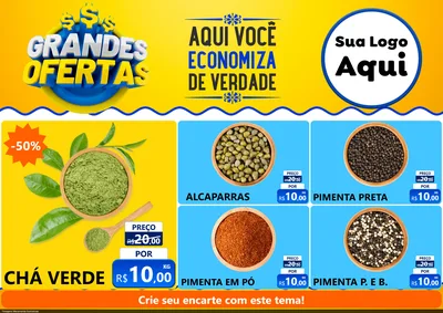 Modelo de Encarte para Encarte A4 Horizontal com o tema Grandes Ofertas para Produtos Naturais